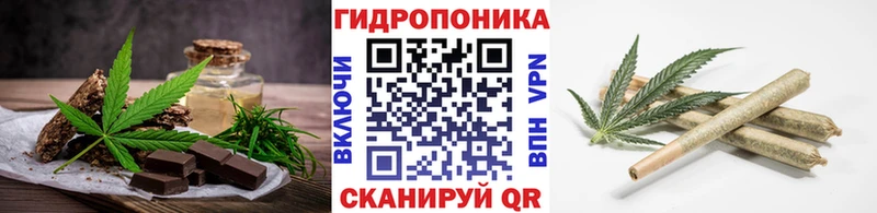 Cannafood конопля  Купить закладки  Нижние Серги 